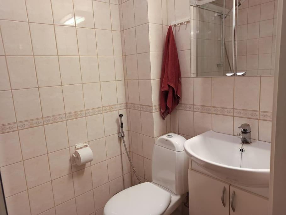 Apartament Cosy Loft Helsinki Zewnętrze zdjęcie